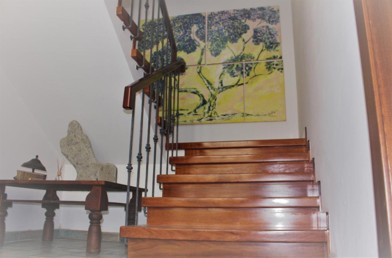 Maruru B & B Dell'Arte Civitanova Marche Ngoại thất bức ảnh